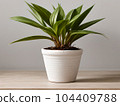 House plant in pot, isolated in white bright background, decorative indoor plant, AI generated image 104409788