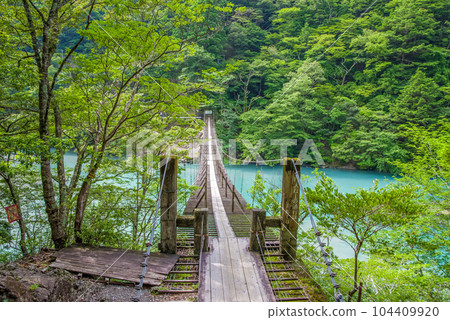 【夢幻吊橋】靜岡縣須又峽 104409920