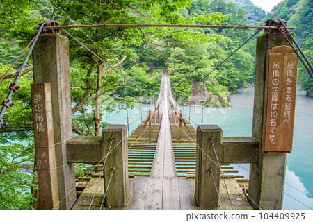 【夢幻吊橋】靜岡縣須又峽 【夢幻吊橋】靜岡縣須又峽 104409925