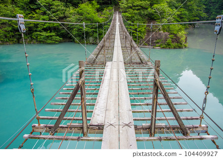 [Dream Suspension Bridge] Sumata Gorge, Shizuoka Prefecture 104409927