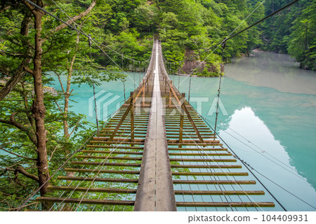 [Dream Suspension Bridge] Sumata Gorge, Shizuoka Prefecture 104409931