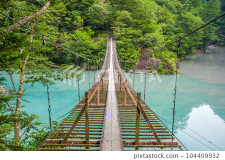 【夢幻吊橋】靜岡縣須又峽 104409932