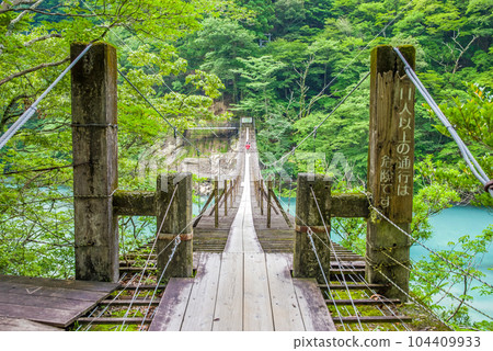 【夢幻吊橋】靜岡縣須又峽 【夢幻吊橋】靜岡縣須又峽 104409933