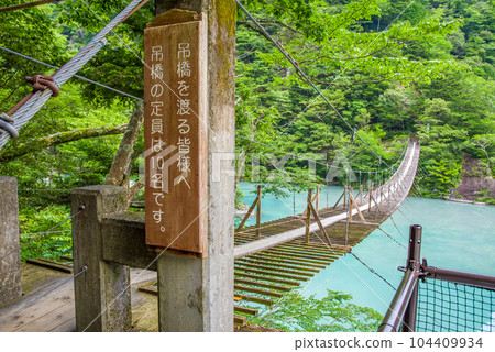 [Dream Suspension Bridge] Sumata Gorge, Shizuoka Prefecture 104409934