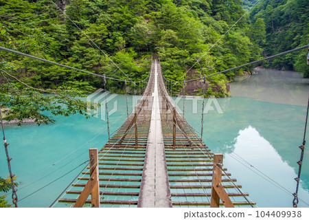 [Dream Suspension Bridge] Sumata Gorge, Shizuoka Prefecture 104409938