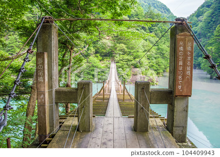 [Dream Suspension Bridge] Sumata Gorge, Shizuoka Prefecture 104409943