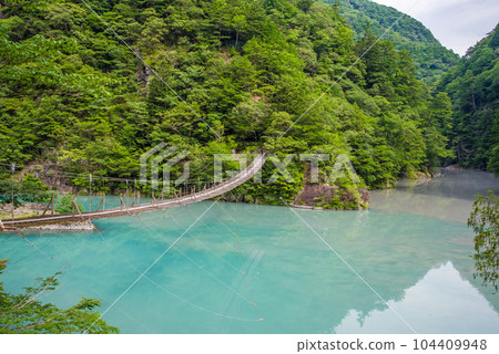 【夢幻吊橋】靜岡縣須又峽 104409948