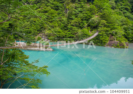 【夢幻吊橋】靜岡縣須又峽 104409951