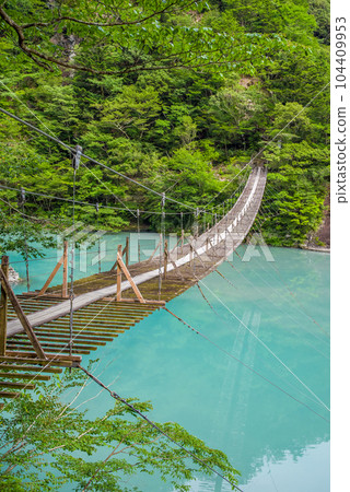 【夢幻吊橋】靜岡縣須又峽 104409953