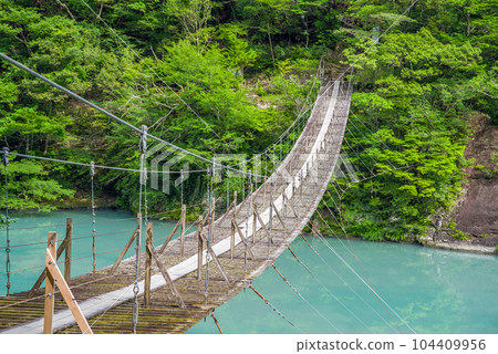 【夢幻吊橋】靜岡縣須又峽 104409956