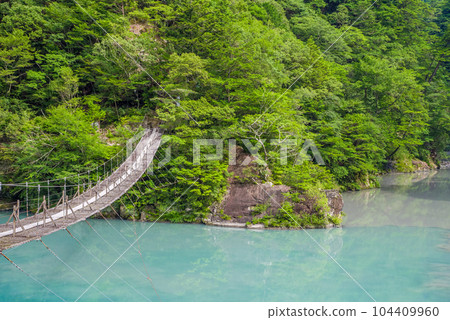 【夢幻吊橋】靜岡縣須又峽 【夢幻吊橋】靜岡縣須又峽 104409960