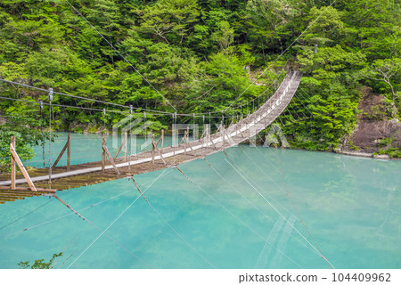 【夢幻吊橋】靜岡縣須又峽 104409962