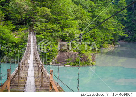 【夢幻吊橋】靜岡縣須又峽 【夢幻吊橋】靜岡縣須又峽 104409964