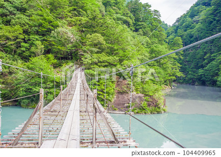 [Dream Suspension Bridge] Sumata Gorge, Shizuoka Prefecture 104409965