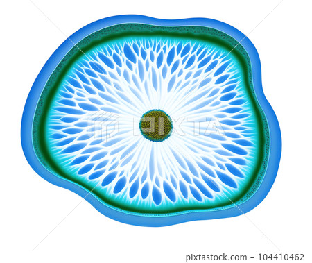 abstract fractal on a white background 104410462