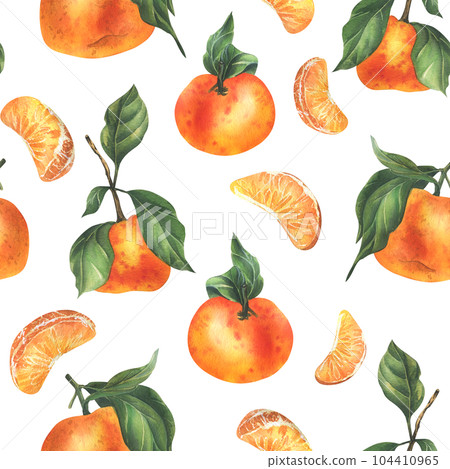 Orange tangerines with green branch and leaves, citrus tropical fruit, whole and slices. Watercolor illustration, hand drawn. Seamless pattern on a white background Orange tangerines with green branch and leaves, citrus tropical fruit, whole and slices. Watercolor illustration, hand drawn. Seamless pattern on a white background 104410965
