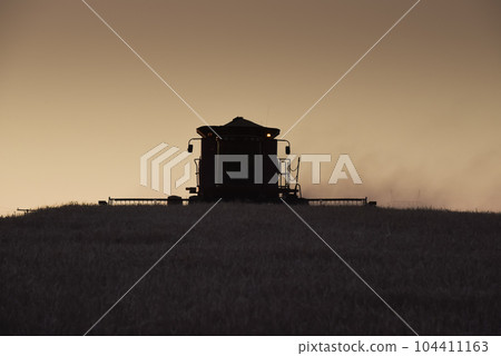 Harvester machine, harvesting in the Argentine countryside, Buenos Aires province, Argentina. 104411163