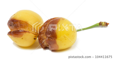 Yellow rotten sweet cherry on a white isolated background 104411675