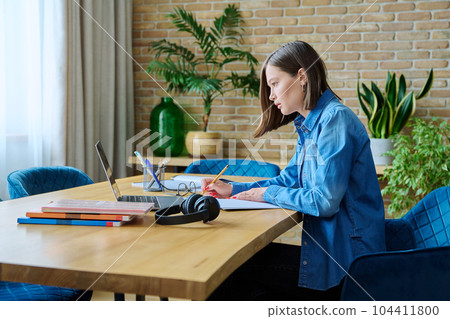 Young female university student studying at home, using laptop 104411800