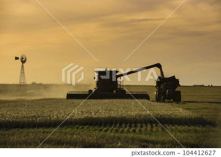 Harvester machine, harvesting in the Argentine countryside, Buenos Aires province, Argentina. 104412627