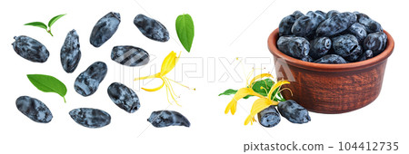 Fresh honeysuckle blue berry isolated on white background with full depth of field. Top view. Flat lay. 104412735