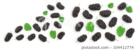 Mulberry with leaf isolated on white background with copy space for your text. Top view. Flat lay 104412774