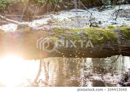 Reflection of the sun from the water in the stream, natural background 104413048