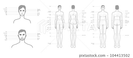 Diagram of woman and man head and body with names, parts of the face text labeled fashion Illustration Infographic 104413502