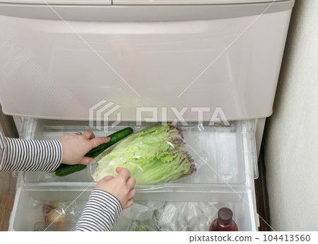 [Housewife taking out sunny lettuce from the vegetable room] 104413560