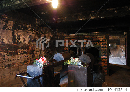 Auschwitz I Concentration Camp 104413844