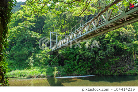 禦岳峽楓橋 | 綠意盎然、水源充足的初夏溪谷風景 104414239