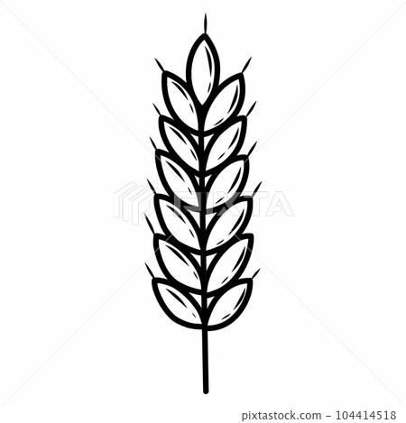 Ear of wheat. Vector illustration in doodle style. 104414518