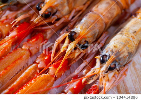 Raw langust ready for cooking Raw langust ready for cooking 104414896