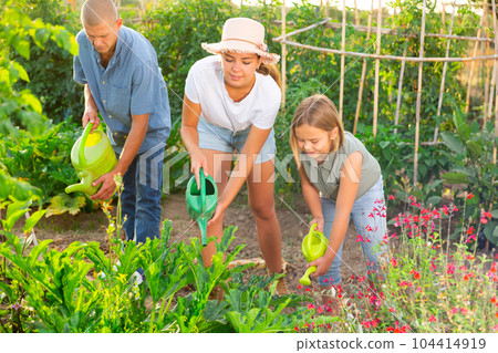 Family watering flowers 104414919