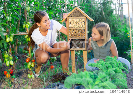 Mom shows her little daughter an insect hotel in form of birdhouse between tomato beds in garden Mom shows her little daughter an insect hotel in form of birdhouse between tomato beds in garden 104414948