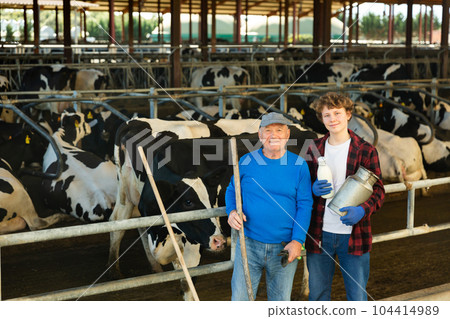 Elderly farmer and his assistant grandson with bottle of milk on the background of cows in stall 104414989