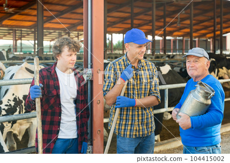 Dairy farm workers talk to each other during break Dairy farm workers talk to each other during break 104415002
