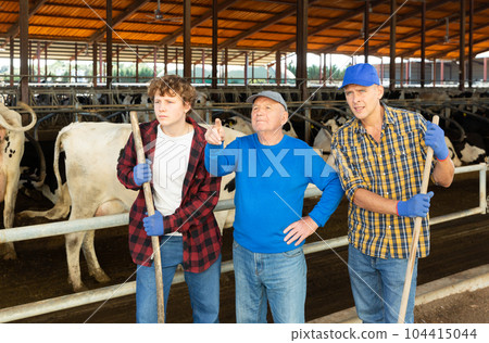 Elderly farmer giving instructions to workers at livestock farm 104415044