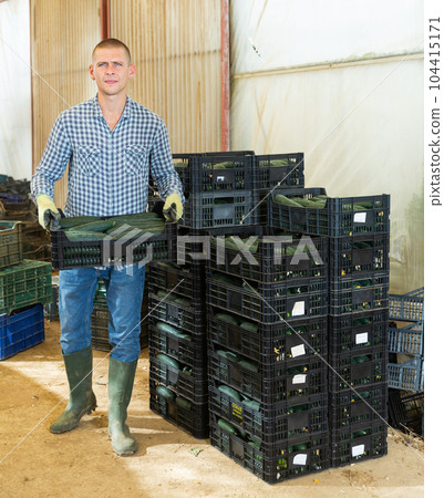 Man carrying box full of cucumbers 104415171