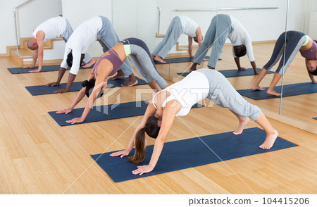 Multiethnic group of young people practicing yoga 104415206