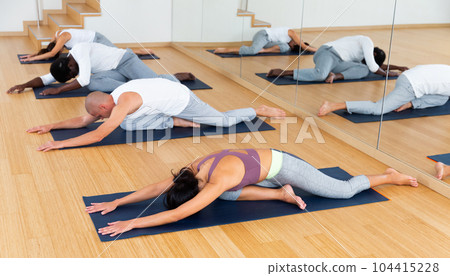 Multiethnic group of young people practicing yoga 104415228