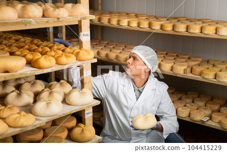 Handsome cheese maker checking aging process of goat cheese standing at small cellar. Numbers on white pieces of paper are date when cheese was put into ripening chamber 104415229