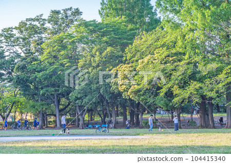 Kamogawa Central Park 104415340