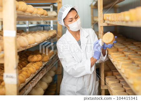 Female cheese dairy worker in protective mask checks the quality of cheese Female cheese dairy worker in protective mask checks the quality of cheese 104415341