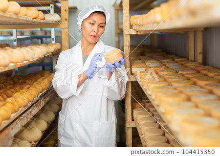 Skilled woman controlling maturing process of cheese wheels 104415350