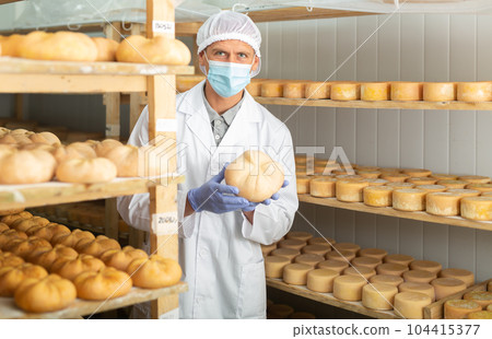 Cheese maker in protective mask checks ripening of cheese on shelves of the dairy. Numbers on white pieces of paper are date when cheese was put into ripening chamber 104415377