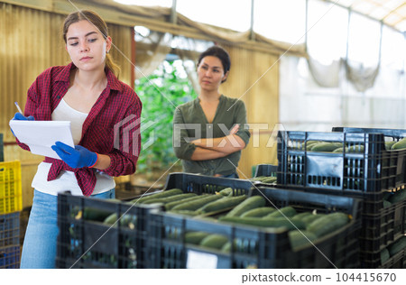 Two female managers are counting number of boxes of cucumbers, male worker carrying crates with cucumber 104415670