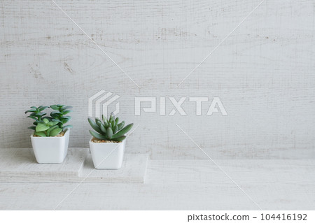Natural background material of plants on a wooden white wall 104416192