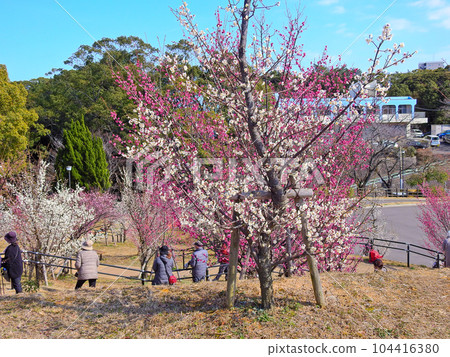 Yonomiya Park Bairin, a place for citizens to relax in Tobata Ward, Kitakyushu City 104416380