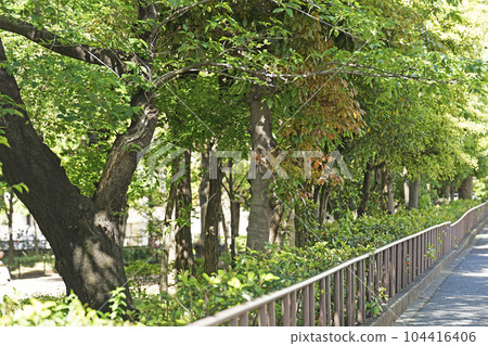 幡谷第三公園 幡谷第三公園 104416406